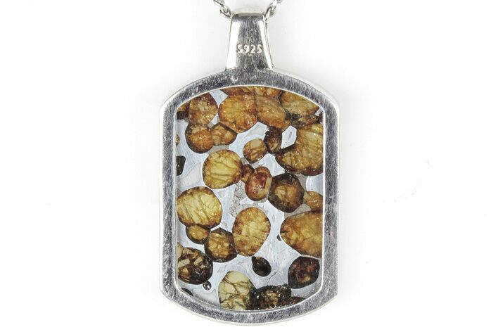 Sericho Pallasite Dog Tag Meteorite Pendant - Kenya #309301